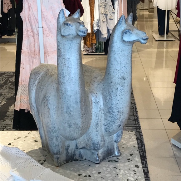 Meet your Posher, Sunny - Picture 4 of 7